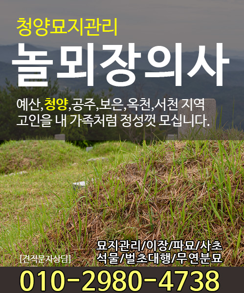 놀뫼장의사 모바일 비주얼 0